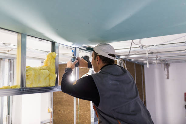 Best Eco-Friendly Insulation in Dixon, MO